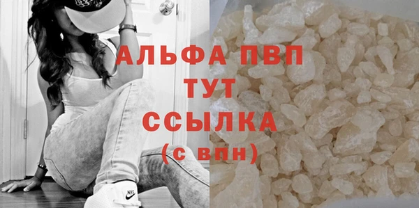 винт Алексин