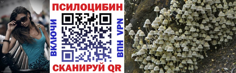 купить наркотик  Урюпинск  Псилоцибиновые грибы мухоморы 